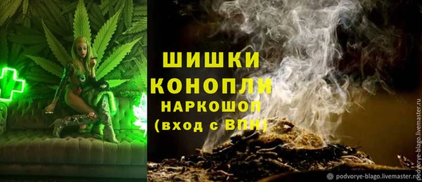 гидропоника Дмитровск