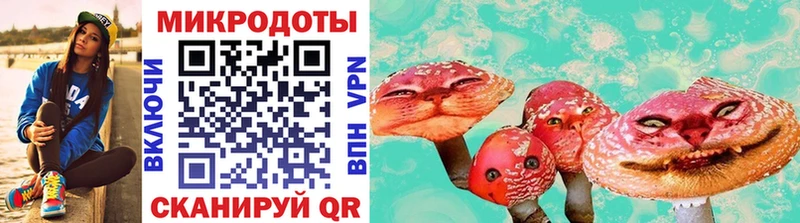 kraken как войти  Балаково  Галлюциногенные грибы Psilocybe 