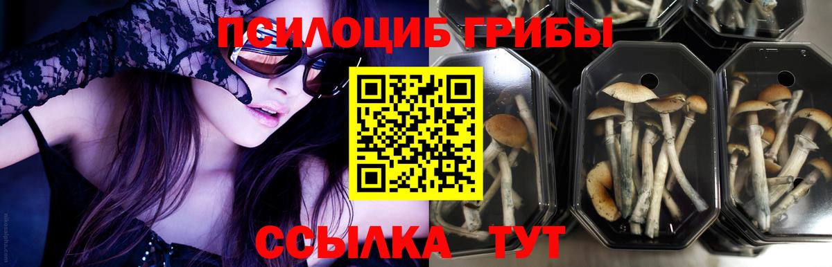 Псилоцибиновые грибы Magic Shrooms  где купить   Балаково  Вход с VPN 